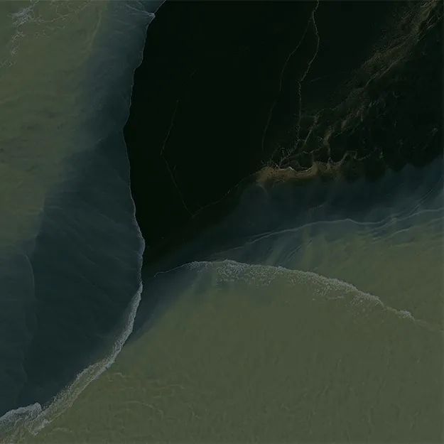 Google may give the Pixel 11 Pro Fold a new Pine finish, hinting at a bolder color direction for its premium foldable line