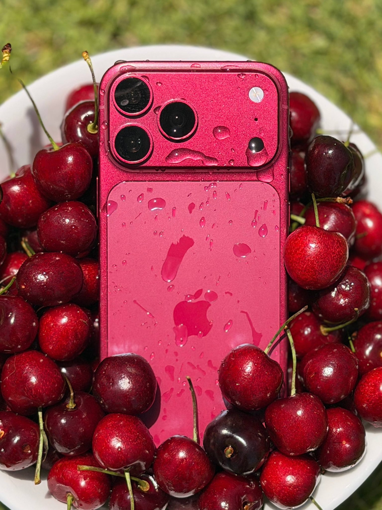 iPhone 18 Pro Max Dummy Units Show Dark Cherry, Light Blue, and Dark Gray Colors image 2