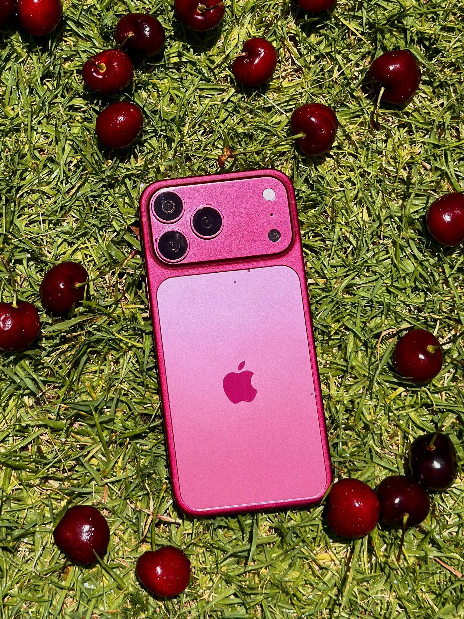 iPhone 18 Pro Max Dummy Units Show Dark Cherry, Light Blue, and Dark Gray Colors image 3